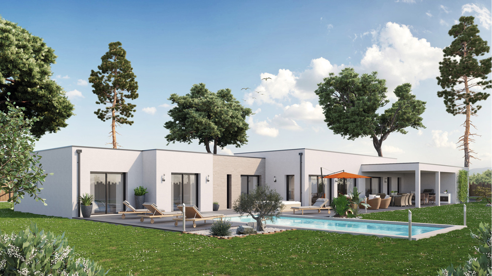 TS1713 - Brocas_Arriere.jpg