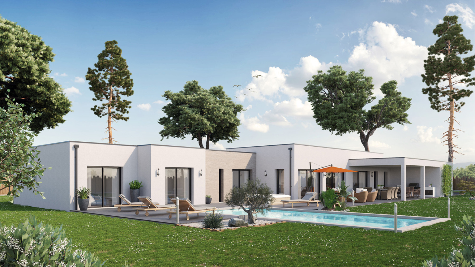 TS1713 - Brocas_Arriere.jpg