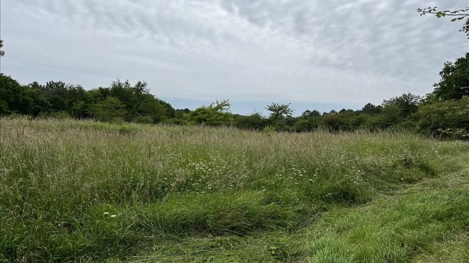 Terrain constructible de 647m2 à Pauillac