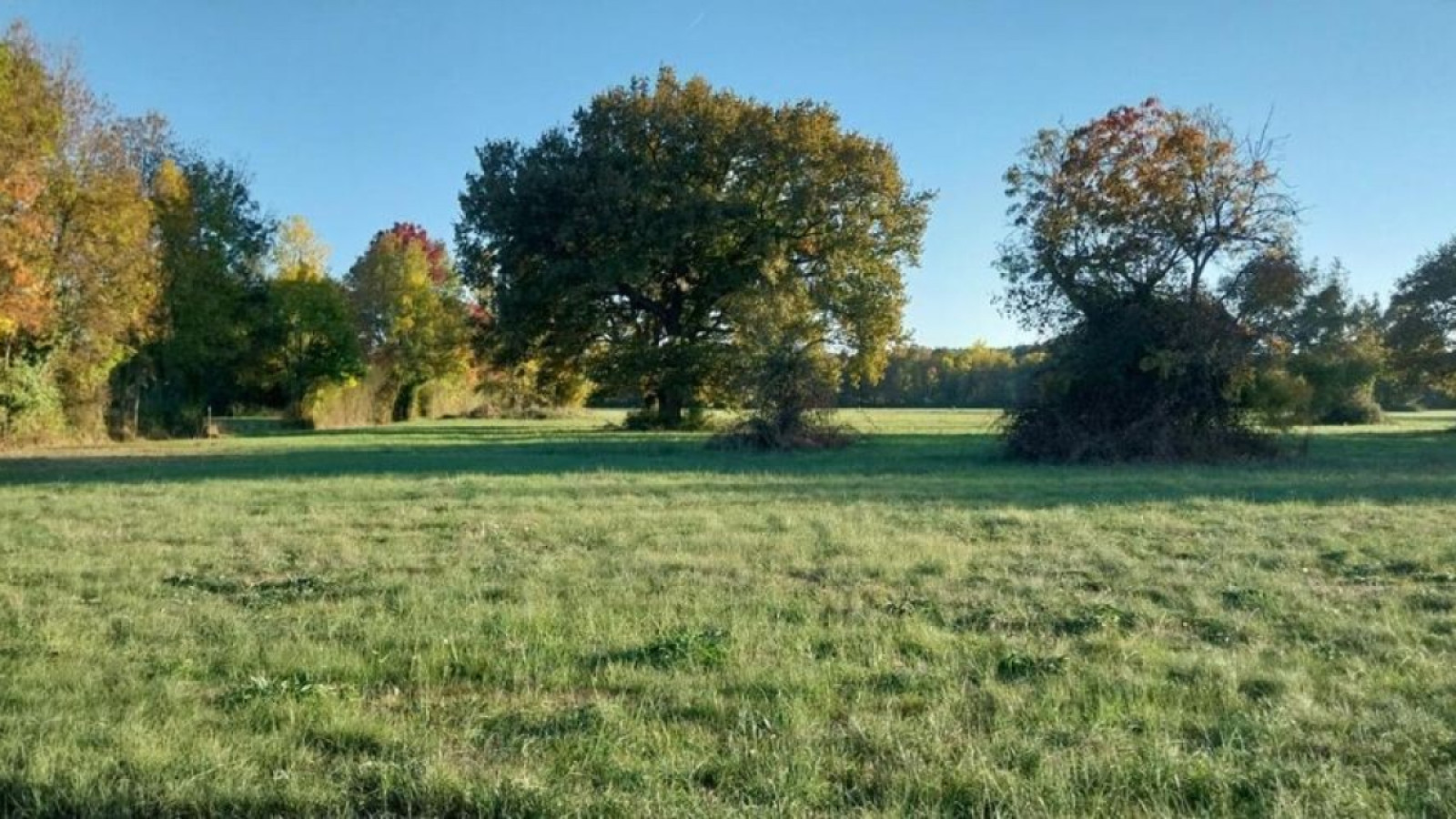 Terrain constructible de 743m2 à Saint-Médard-de-Guizières