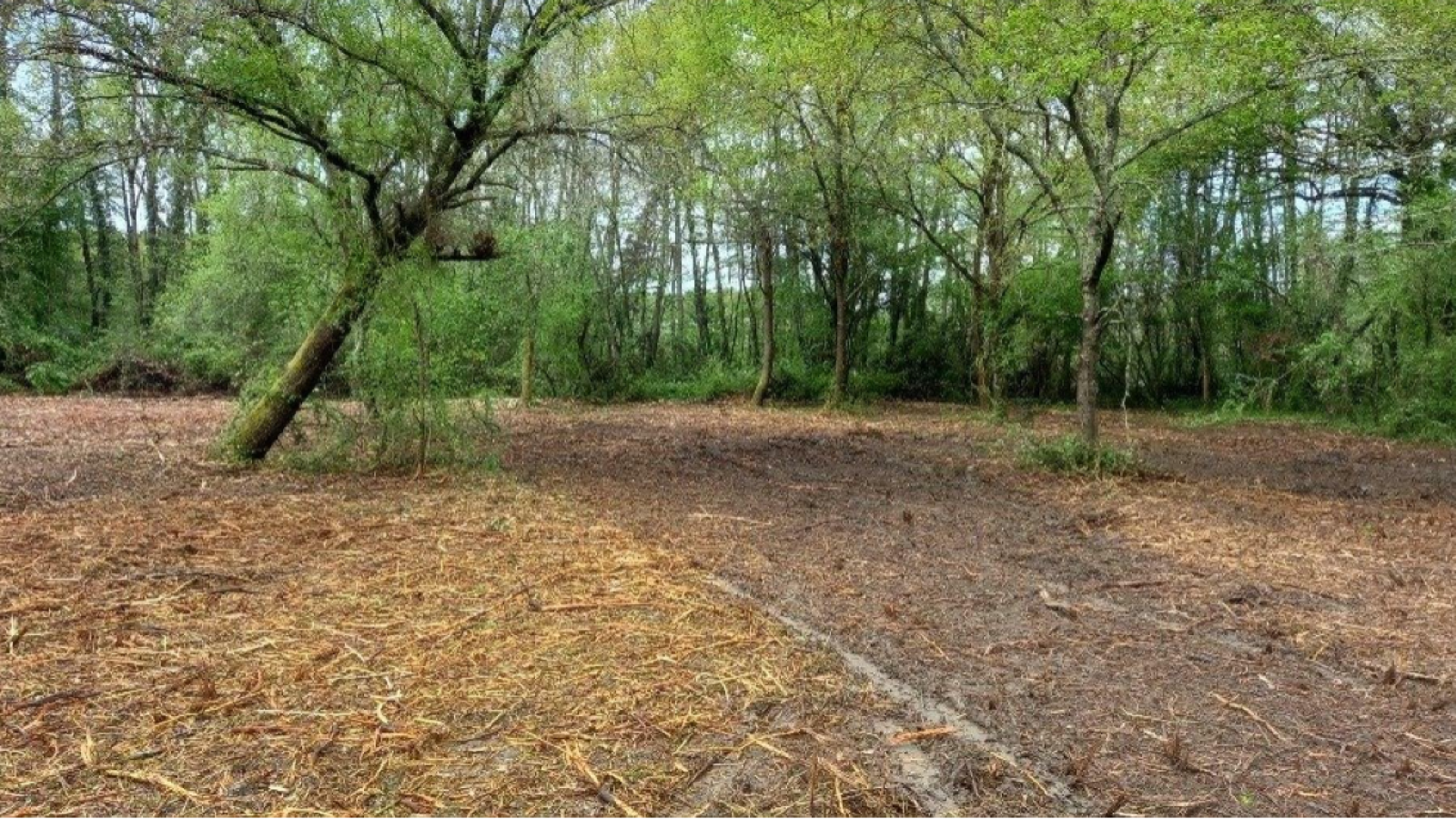 Terrain constructible de 856m2 à La Brède