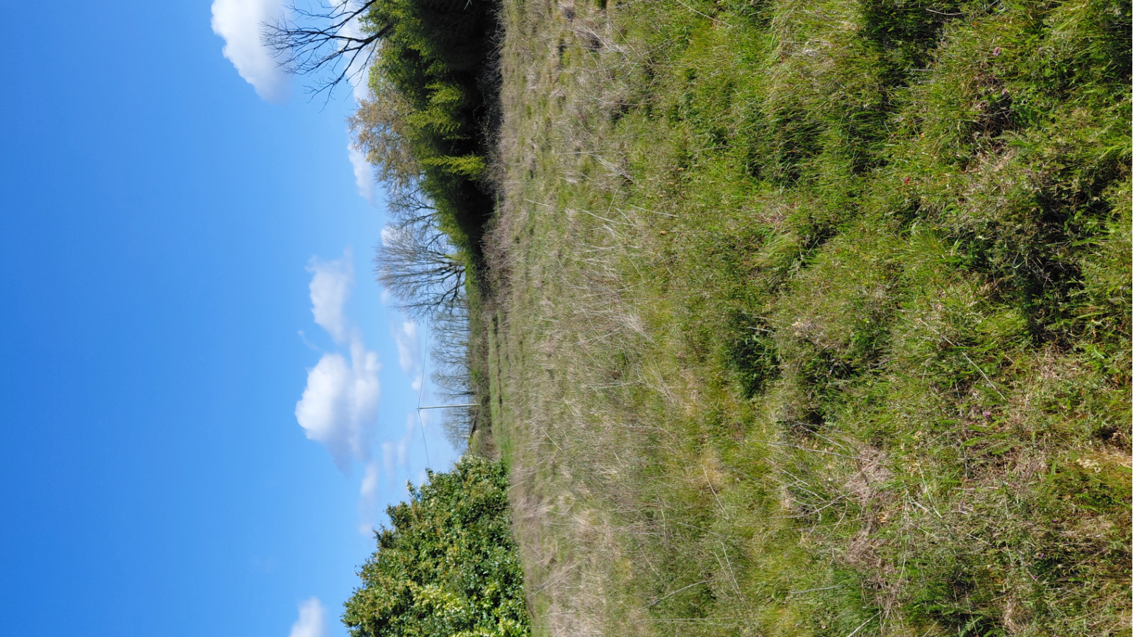 Terrain constructible de 1008m2 à Soulignac