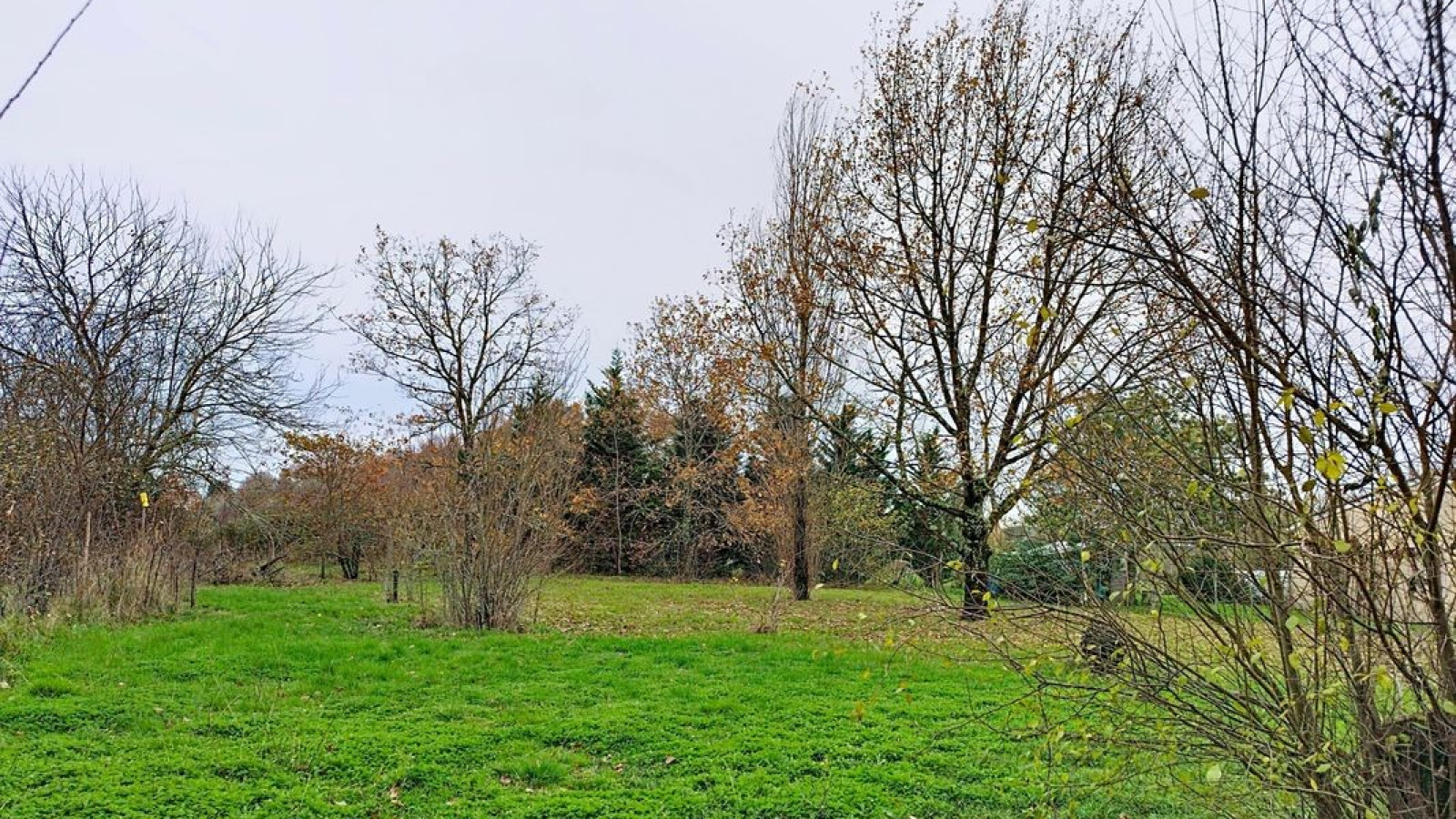 Terrain constructible de 1000m2 à Cartelègue