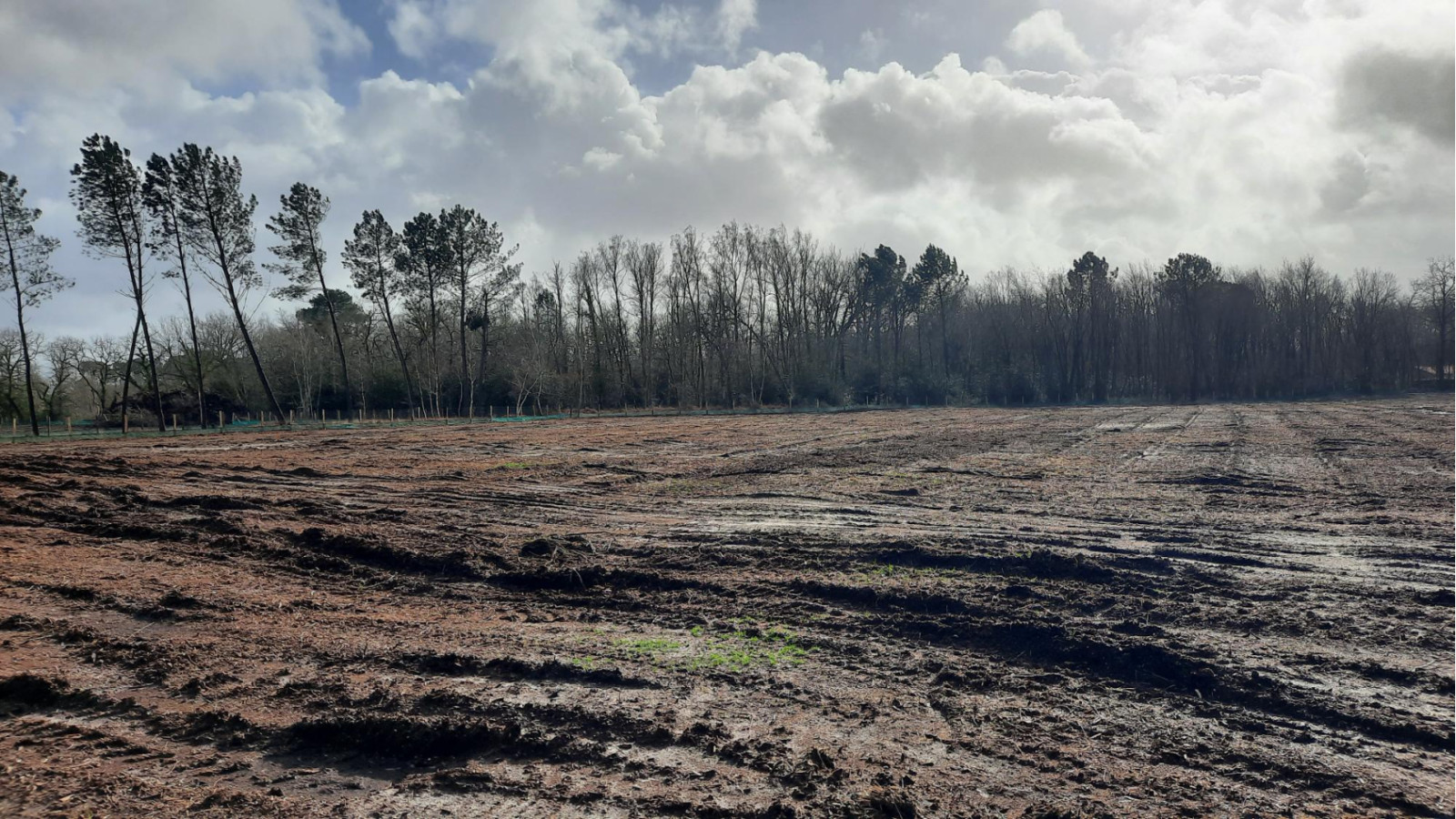 Terrain constructible de 800m2 à Cestas
