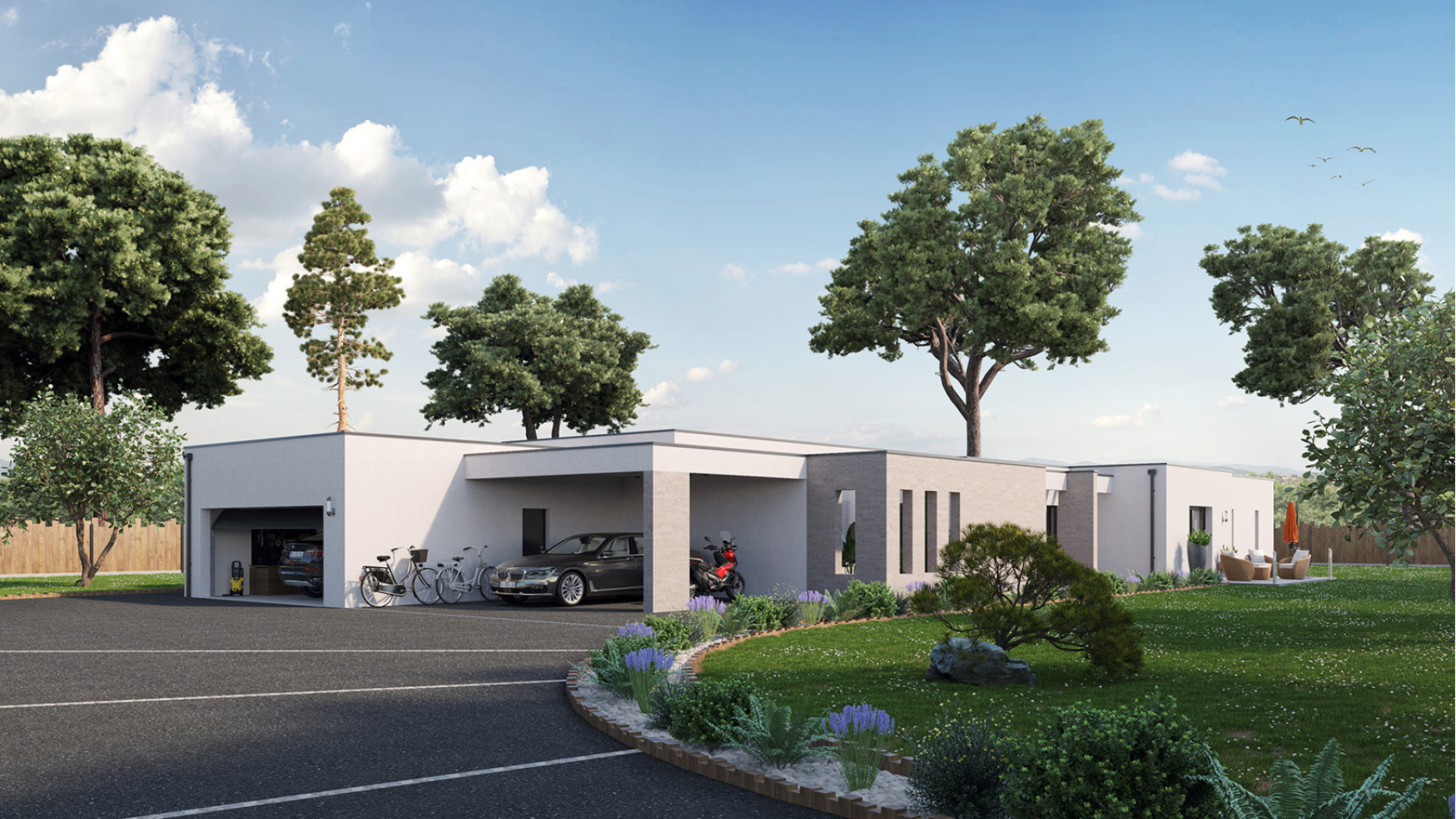 TS1713 - Brocas_Avant.jpg