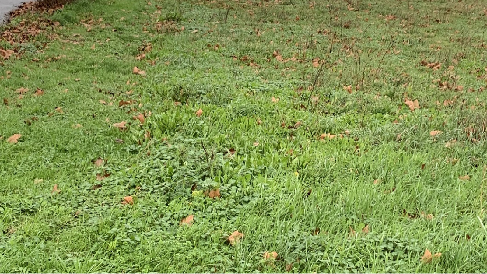 Terrain constructible de 435m2 à Saint-André-de-Cubzac