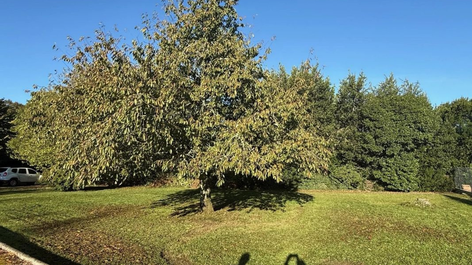 Terrain constructible de 567m2 à Saint-Martin-Lacaussade