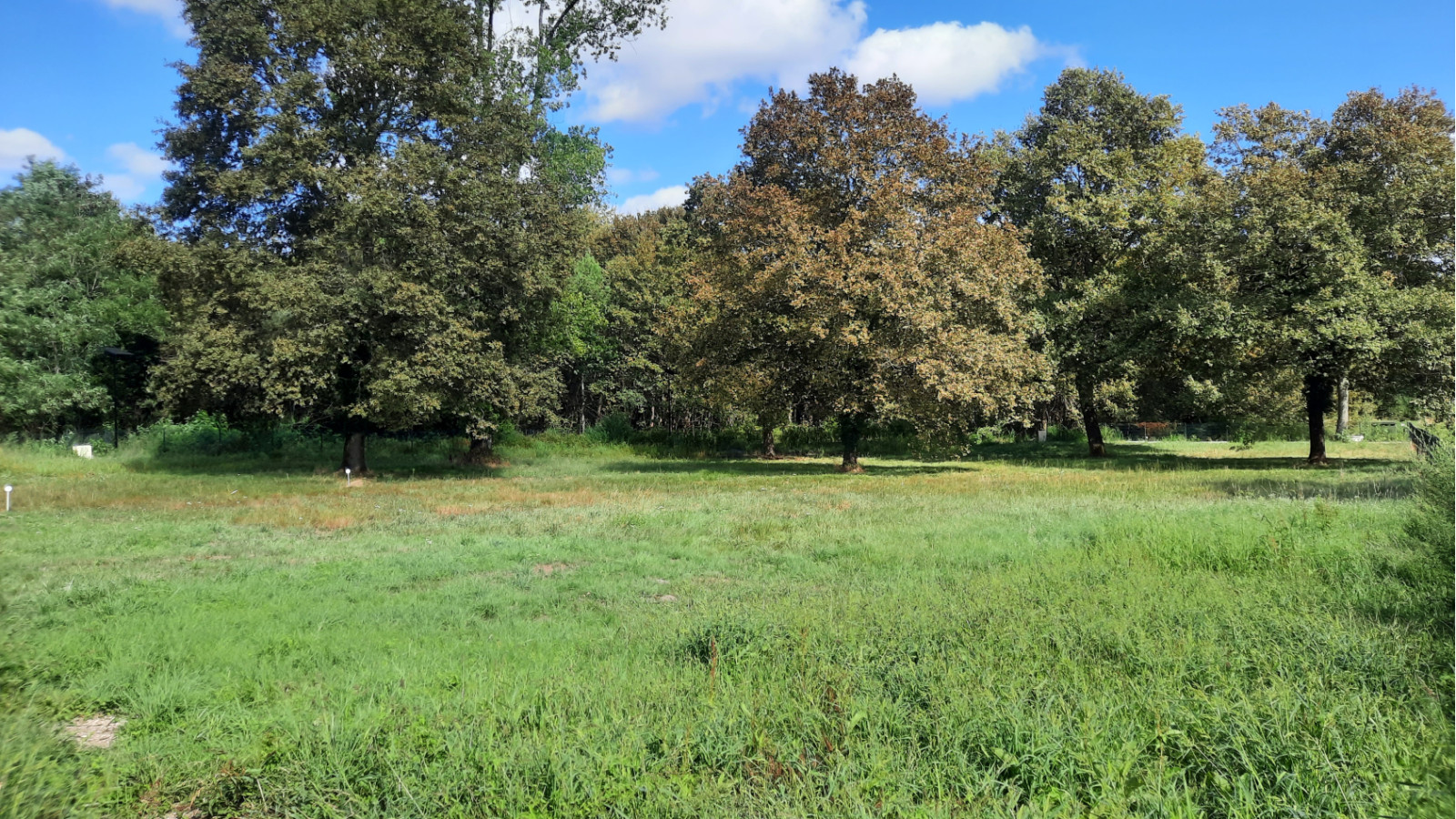 Terrain constructible de 666m2 à Blanquefort