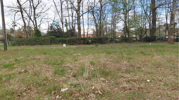 st aubin de médoc 3.jpg