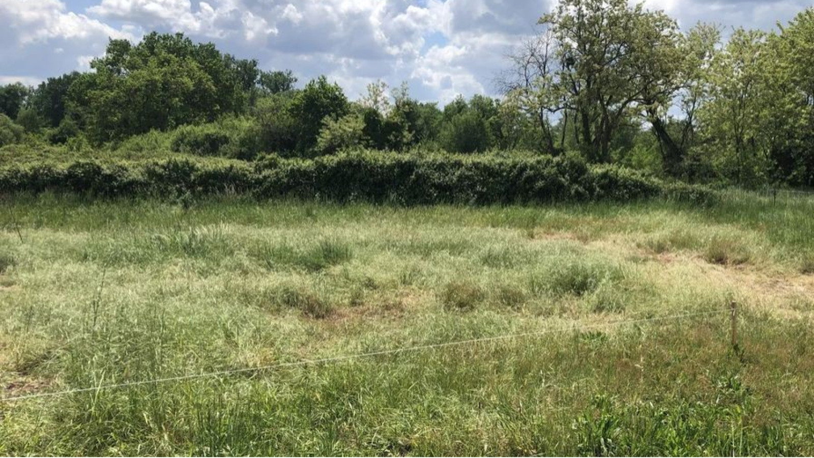 Terrain constructible de 817m2 à Cadaujac