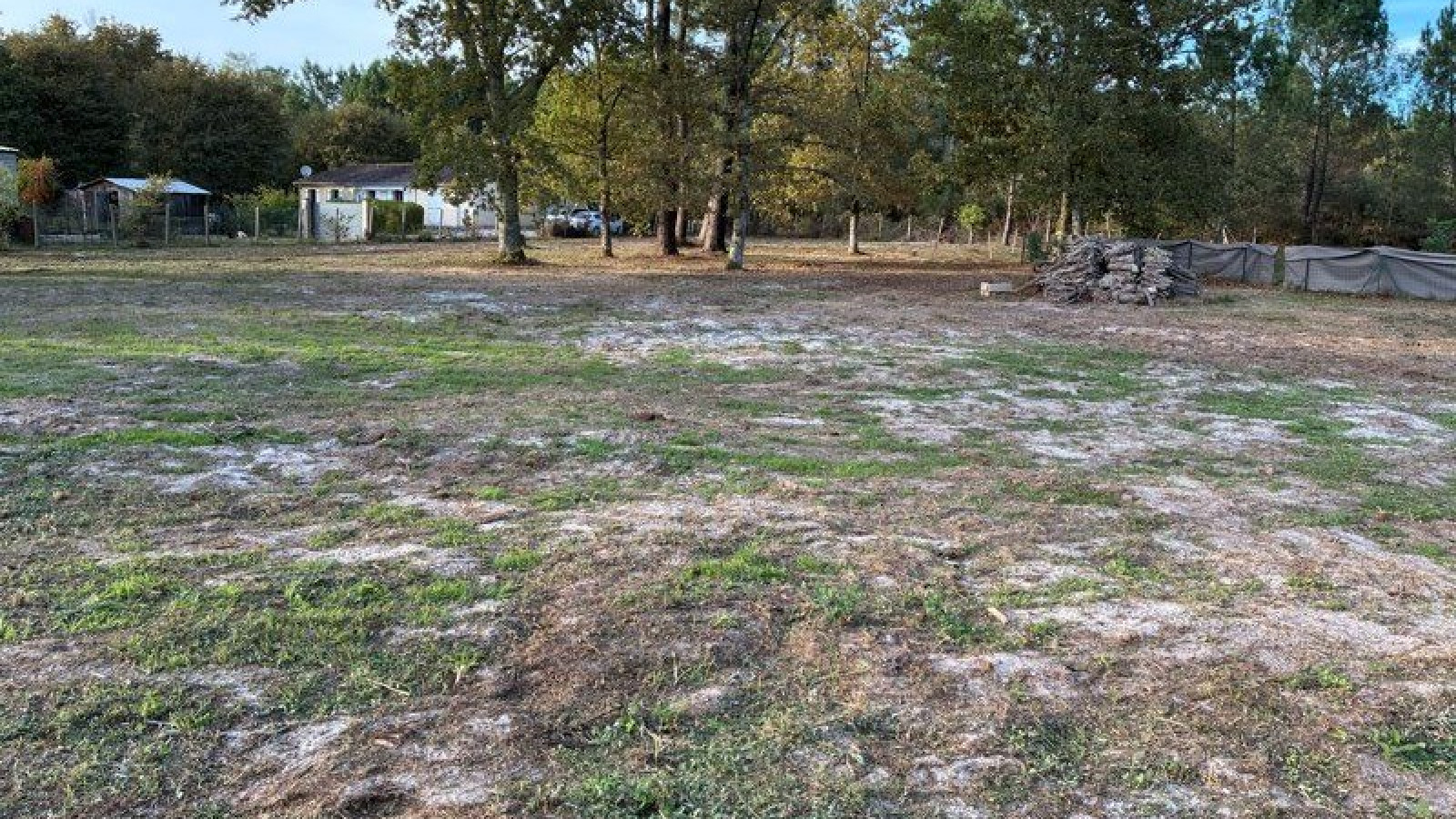 Terrain constructible de 2776m2 à Origne