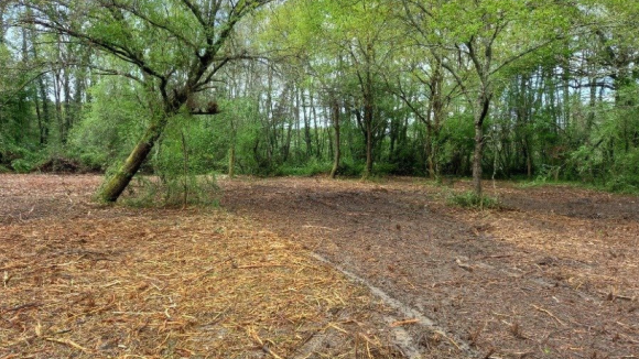 Capture d'écran 2026-03-24 163942.png