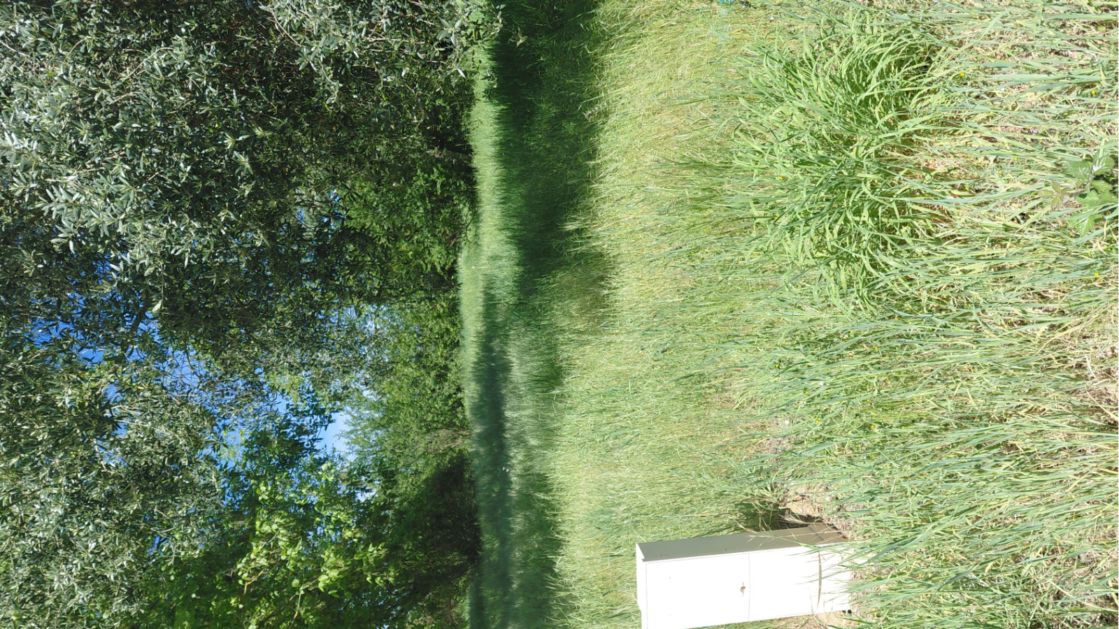 Terrain constructible de 610m2 à Bassens