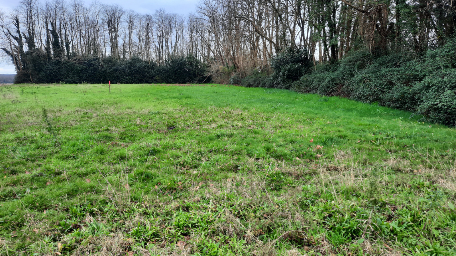 Terrain constructible de 570m2 à Sort-en-Chalosse