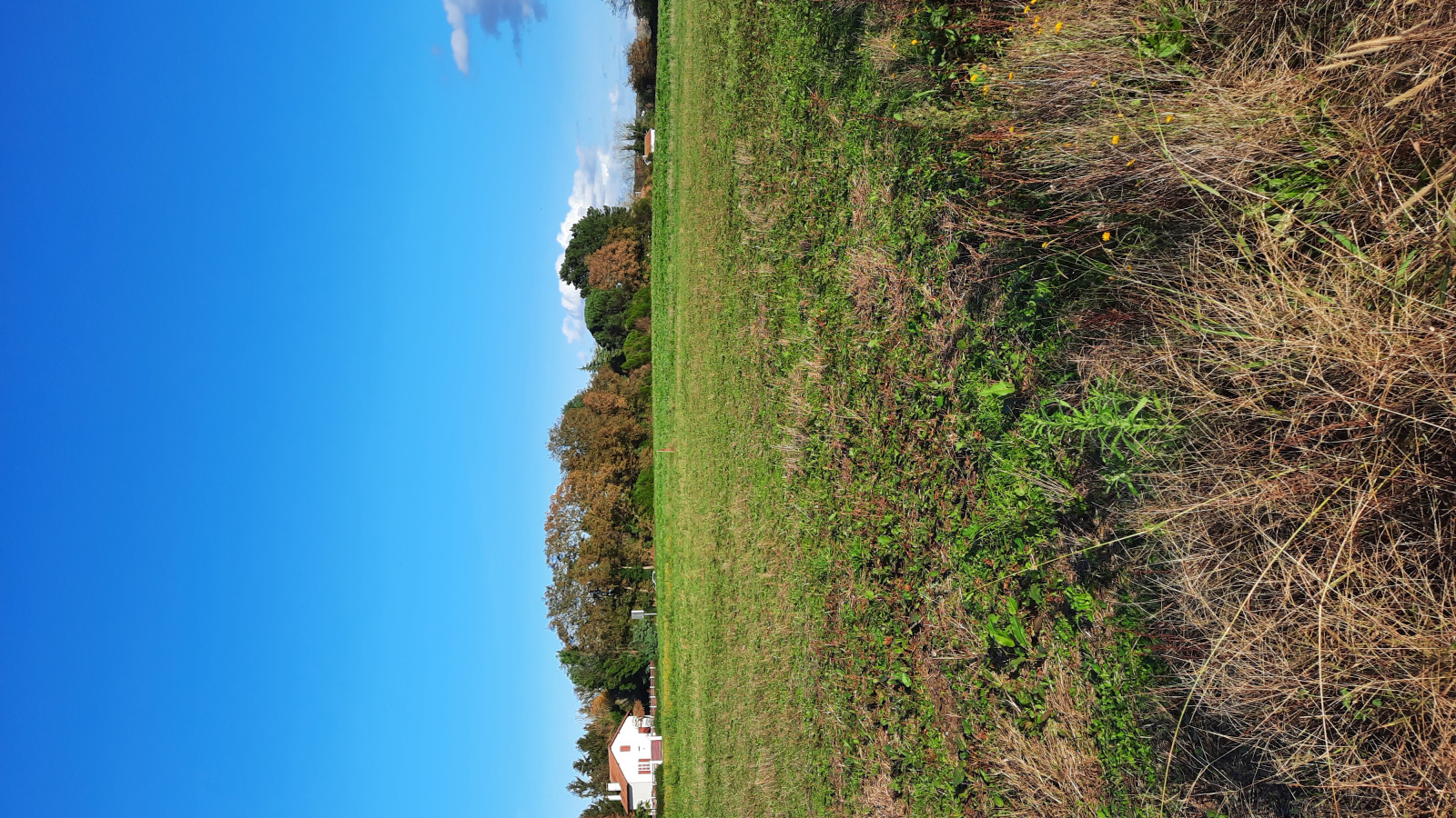 Terrain constructible de 500m2 à Peyrehorade