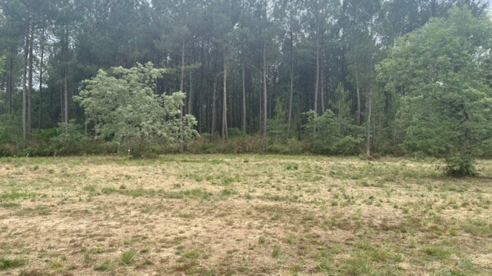 Terrain constructible de 695m2 à Saint-Martin-d'Oney