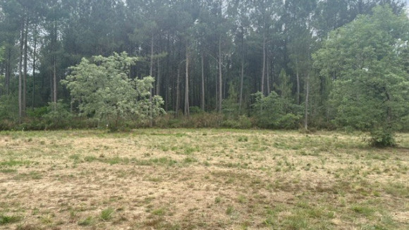 terrain st martin d'oney.jpg