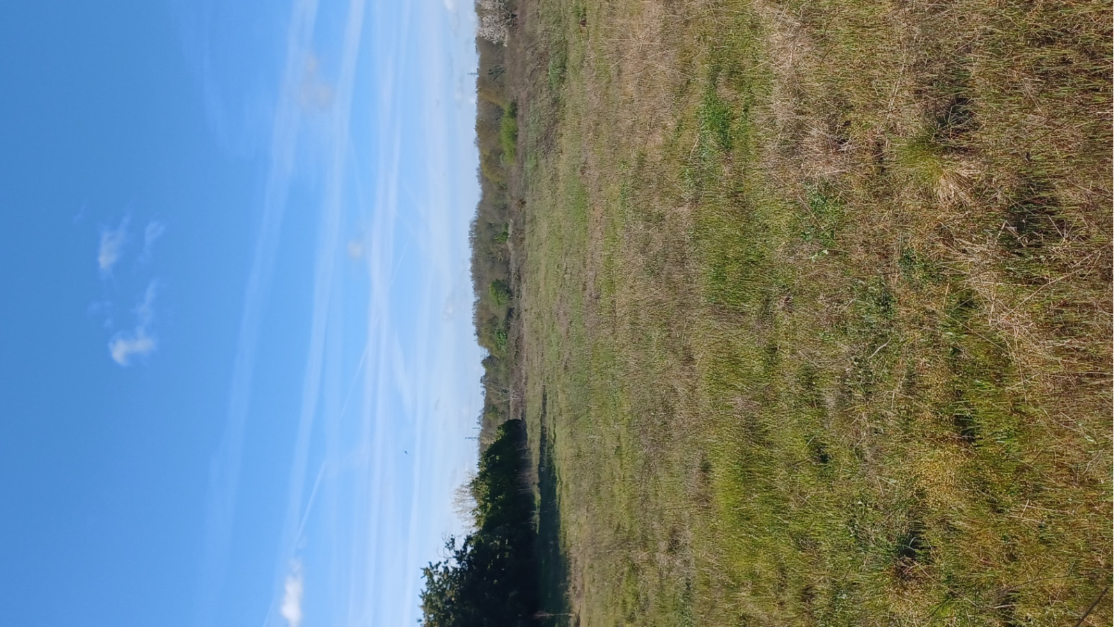 Terrain constructible de 600m2 à Cestas