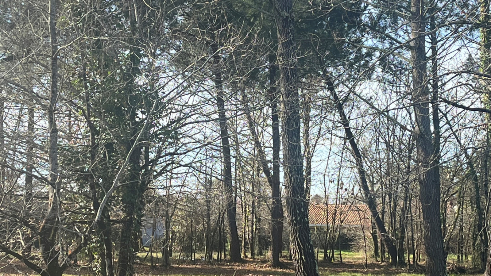 Terrain constructible de 1259m2 à Biscarrosse