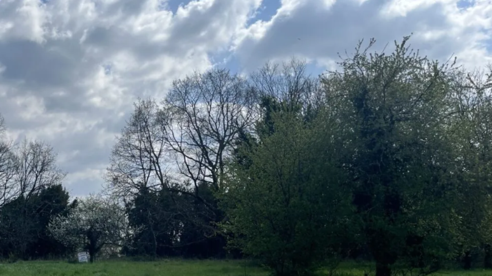 Terrain constructible de 644m2 à Peujard