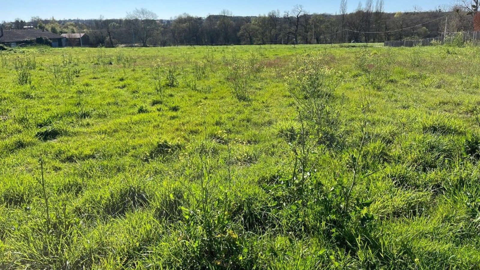 Terrain constructible de 1158m2 à Gajac