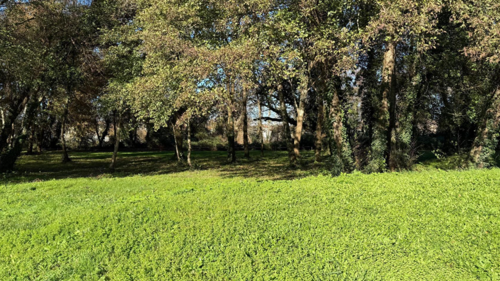 Terrain constructible de 1327m2 à La Brède