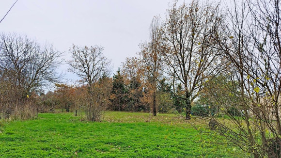 Cartelègue.jpg