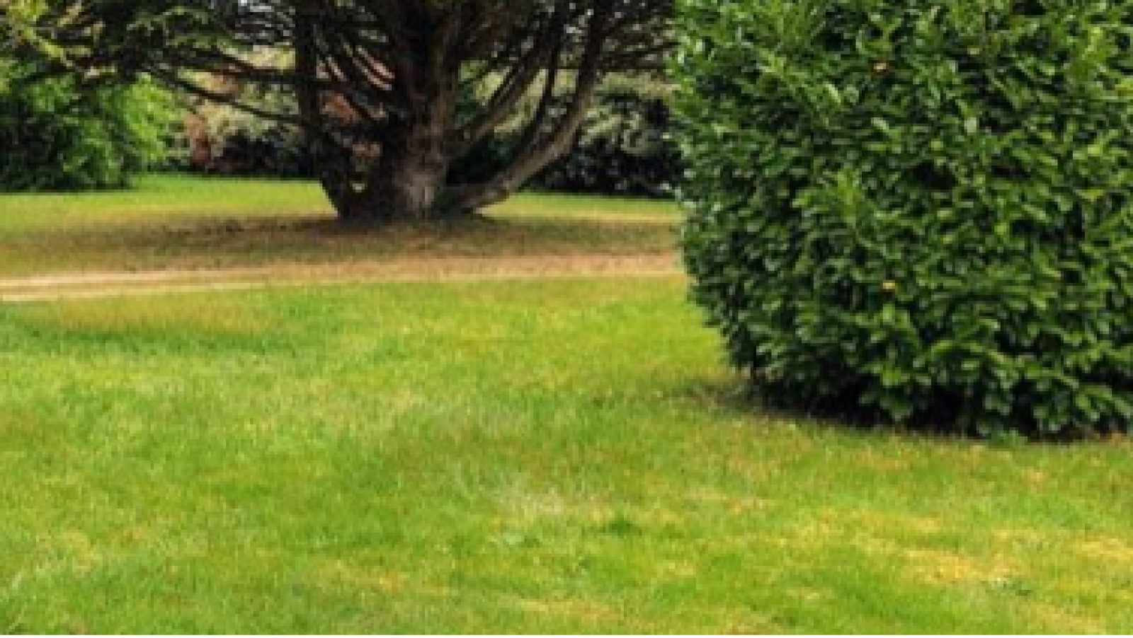 Terrain constructible de 352m2 à Bruges