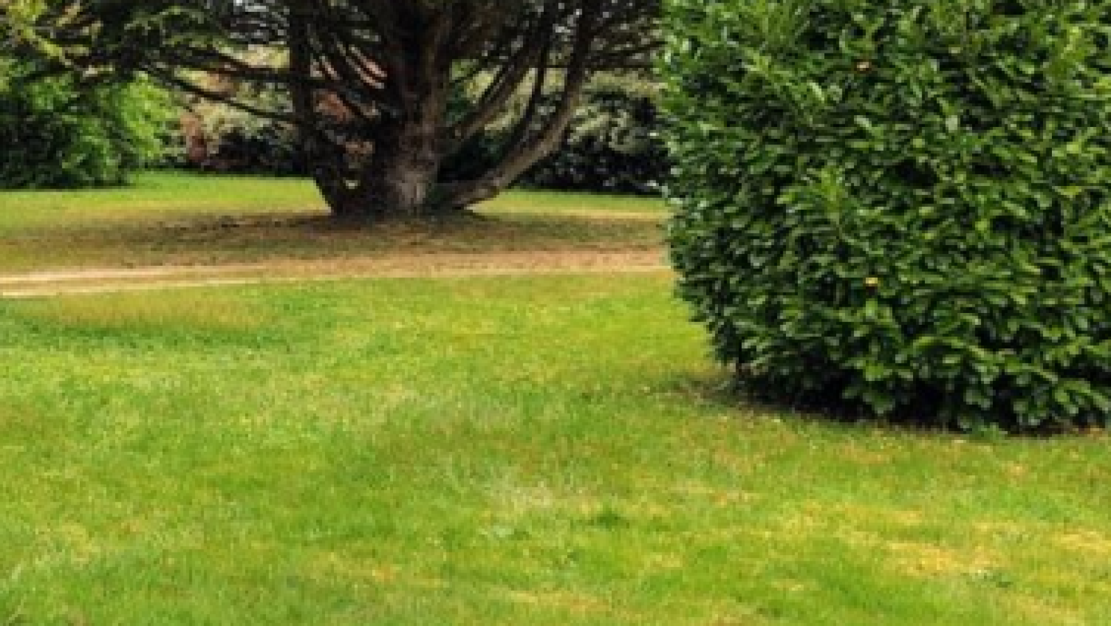 Terrain constructible de 270m2 à Eysines