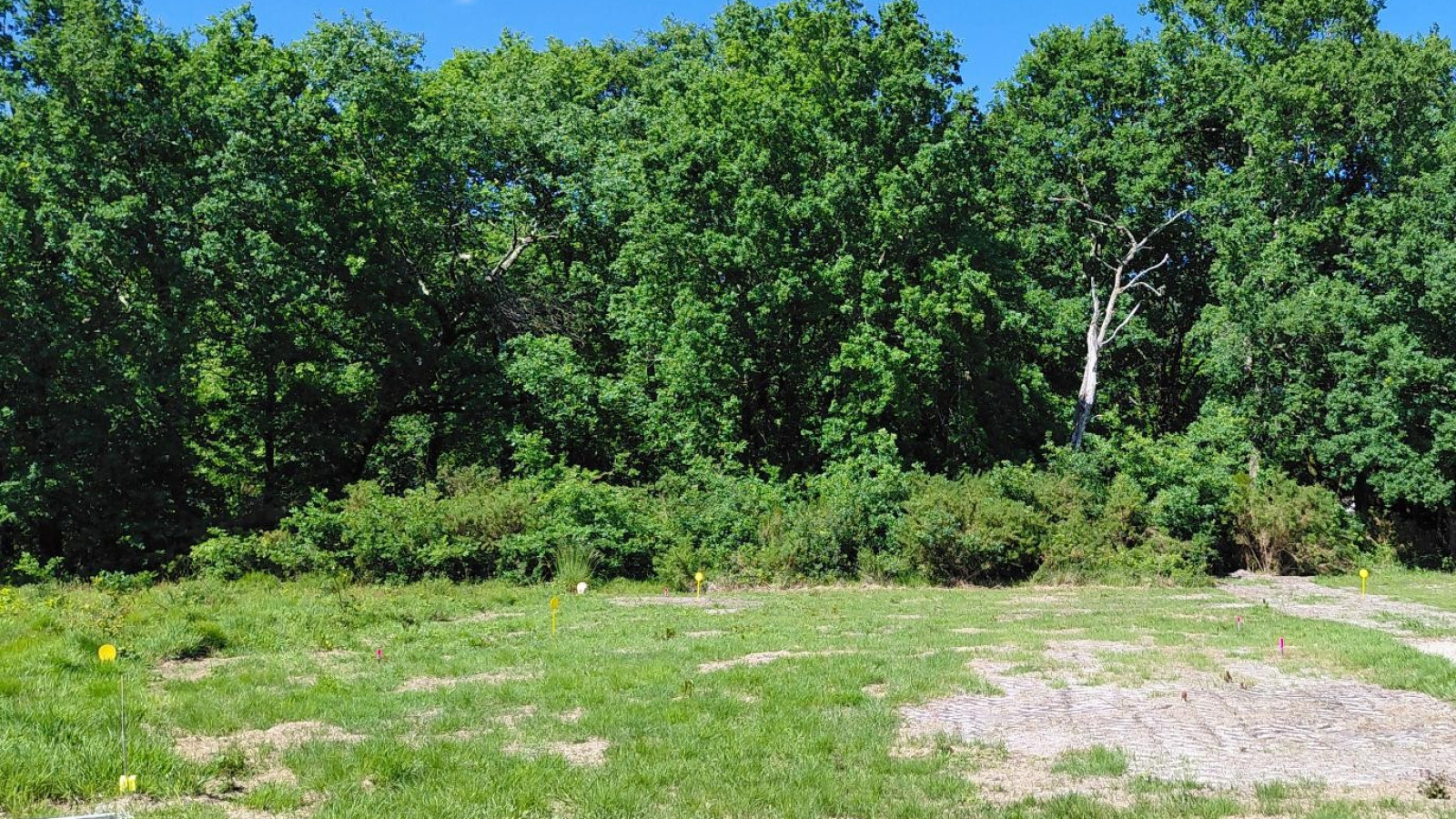 Terrain constructible de 561m2 à Labouheyre