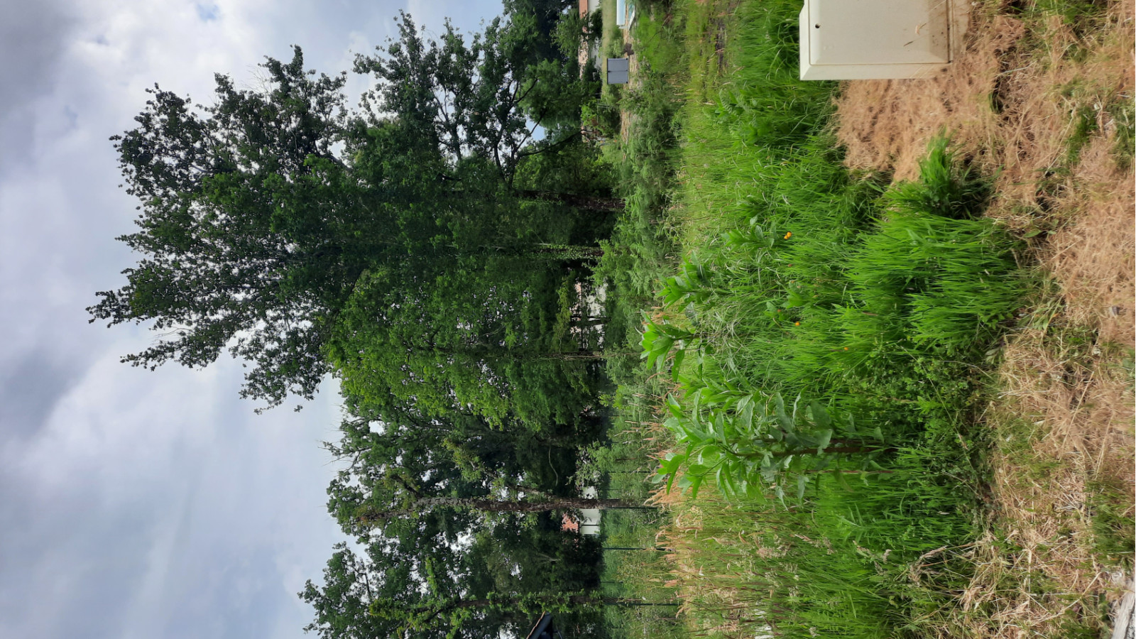 Terrain constructible de 420m2 à Dax