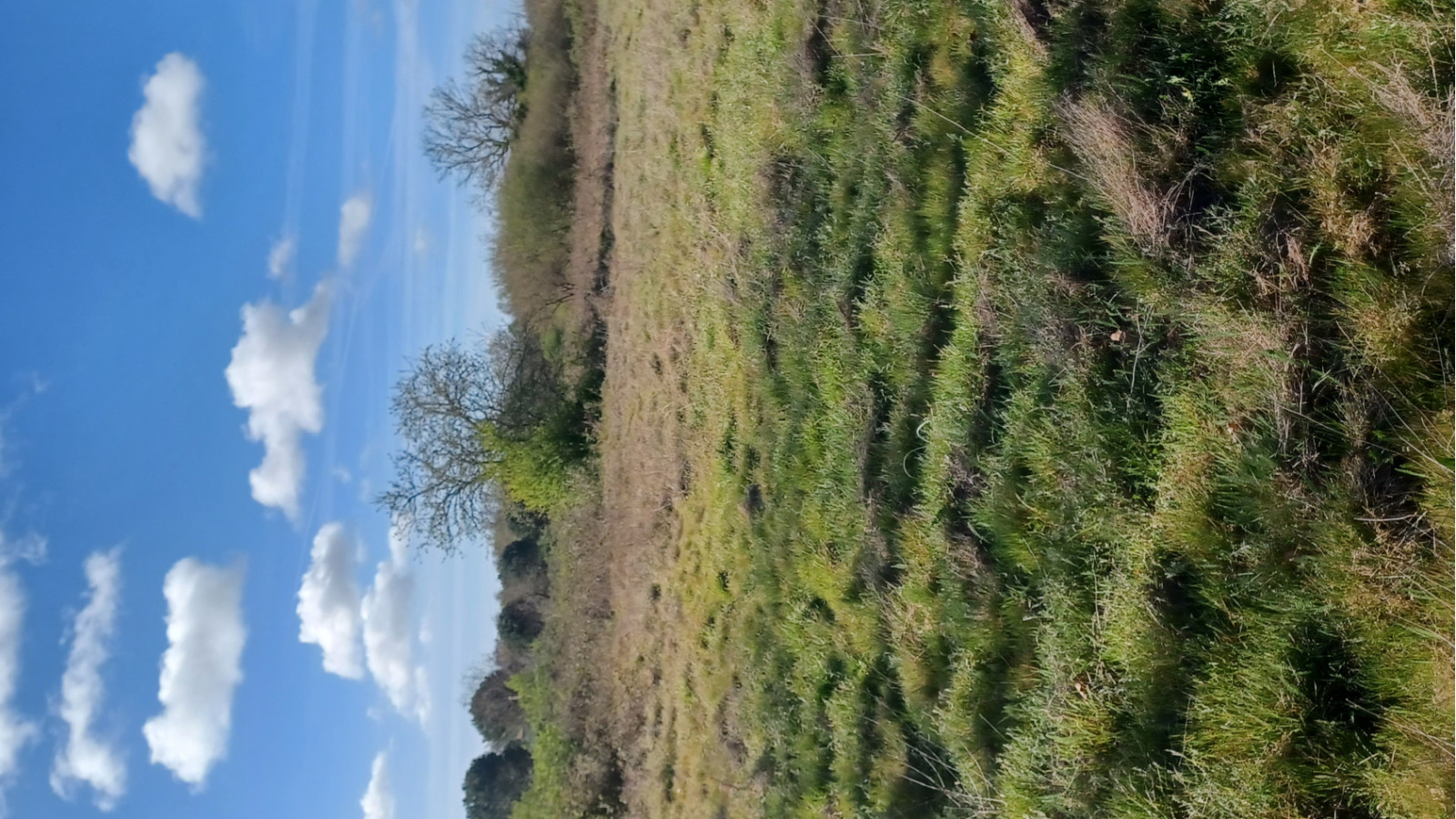 Terrain constructible de 525m2 à Castelnau-de-Médoc