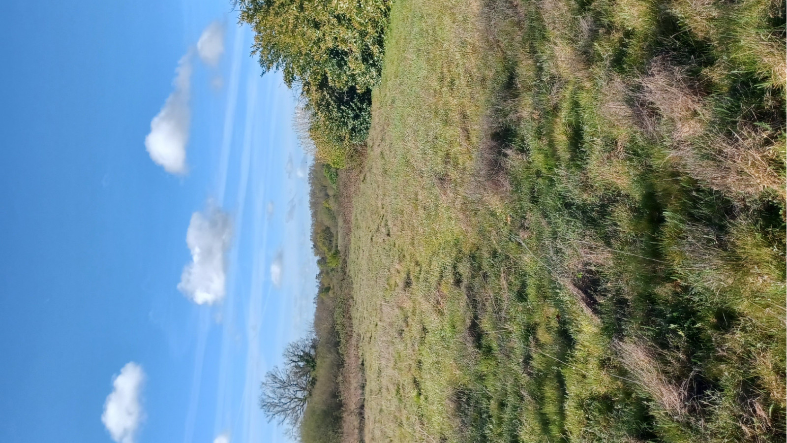 Terrain constructible de 1008m2 à Soulignac