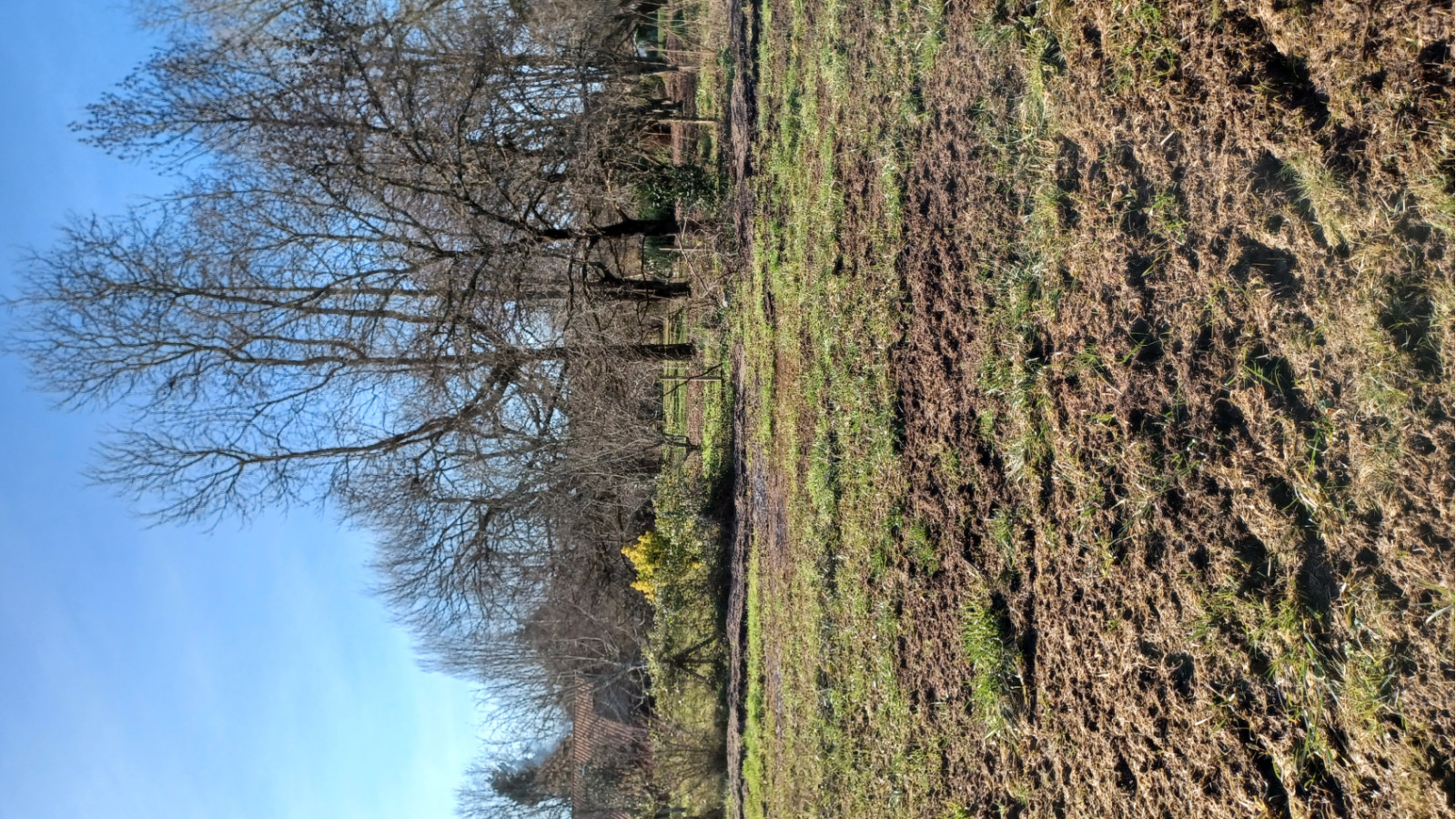 Terrain constructible de 911m2 à Saint-Aubin-de-Médoc