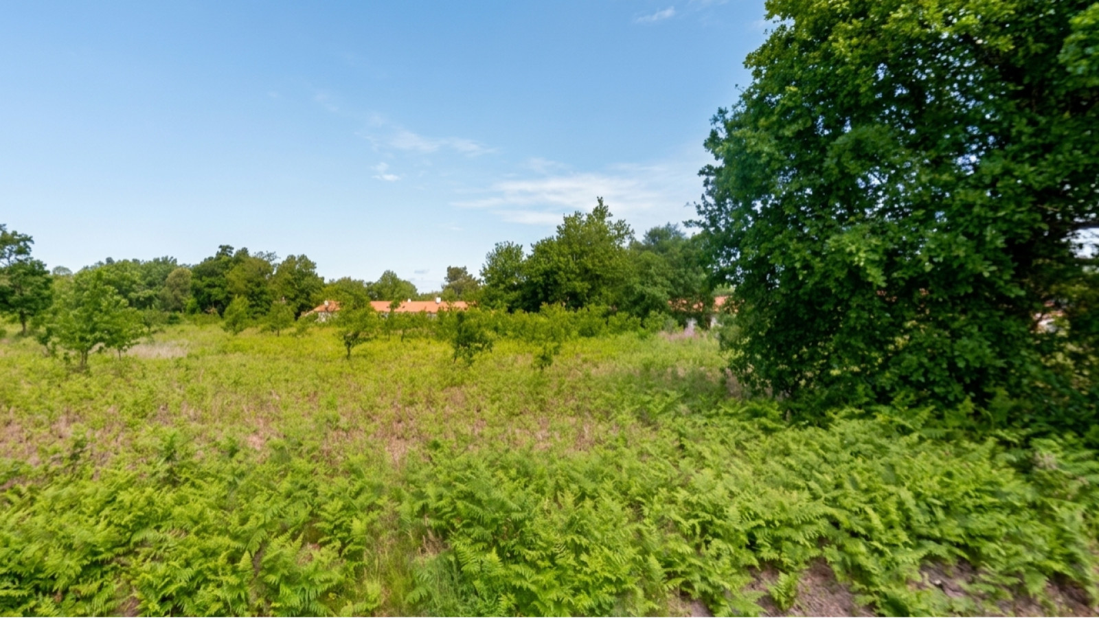 Terrain constructible de 300m2 à Gastes