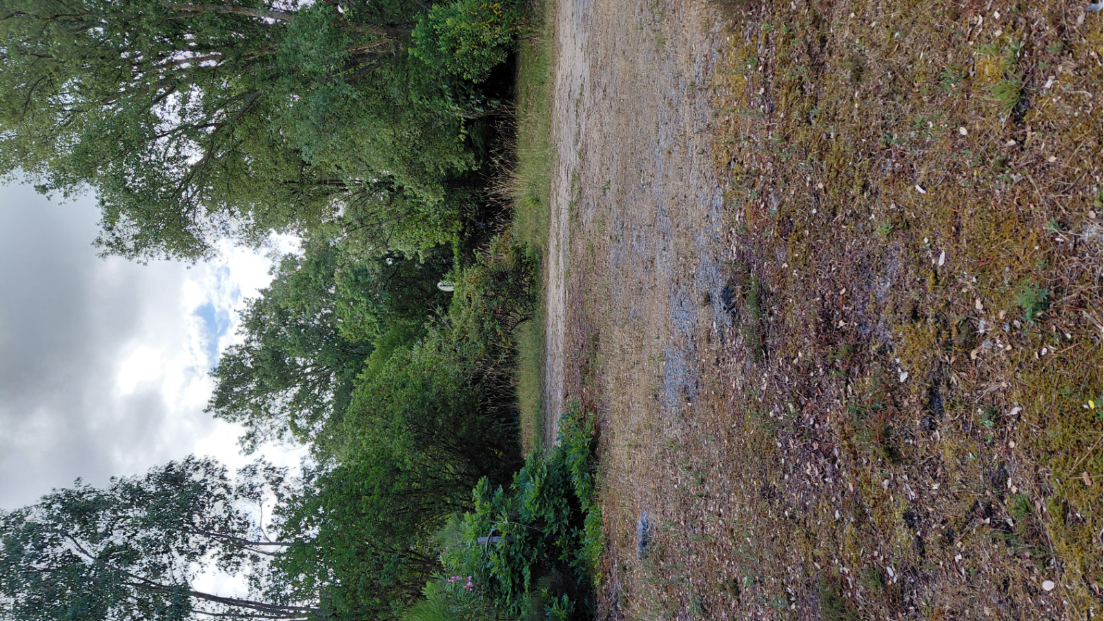 Terrain constructible de 630m2 à Moliets-et-Maa