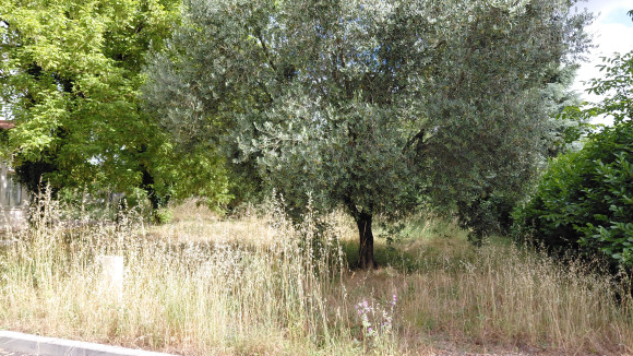 St Laurent d'Arce.jpg