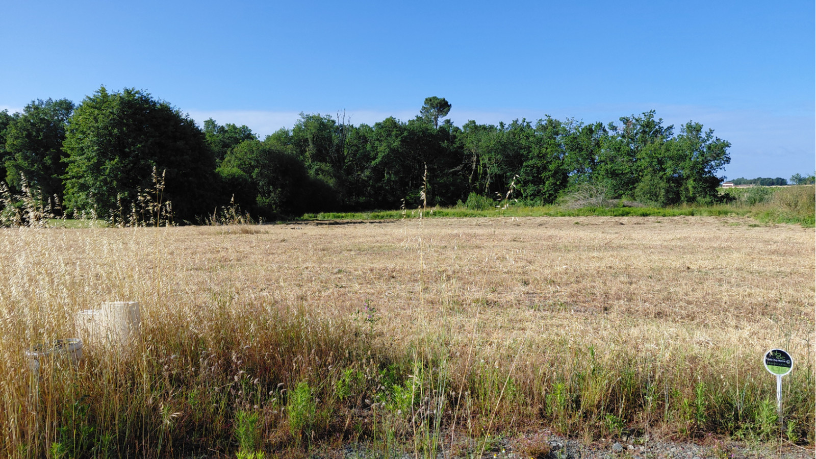 Terrain constructible de 601m2 à Pugnac