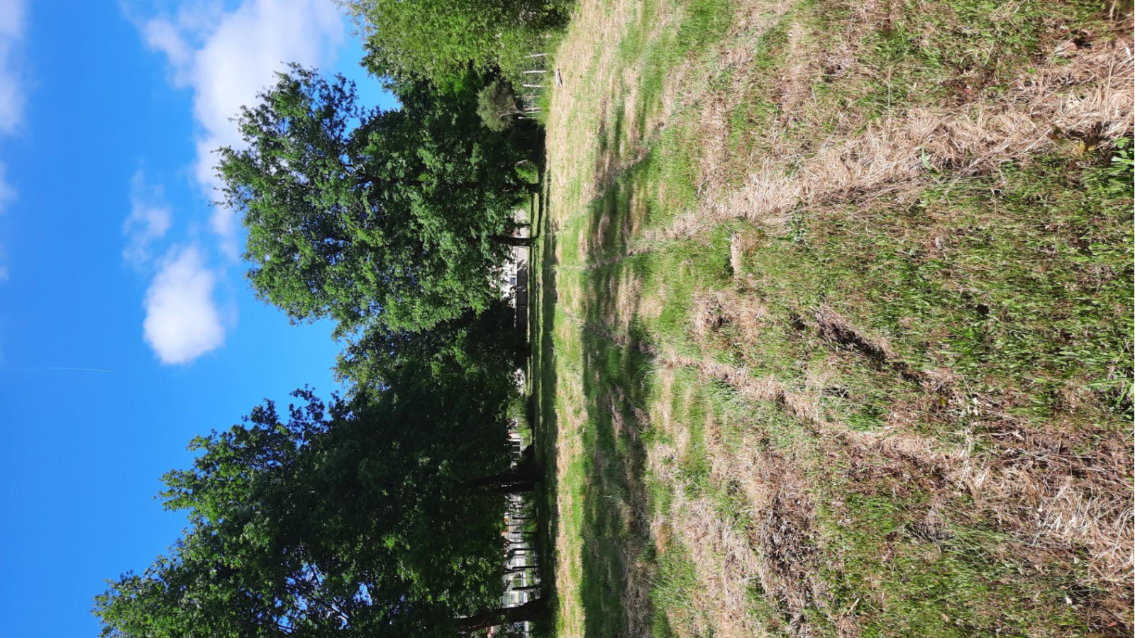 Terrain constructible de 646m2 à Le Taillan-Médoc
