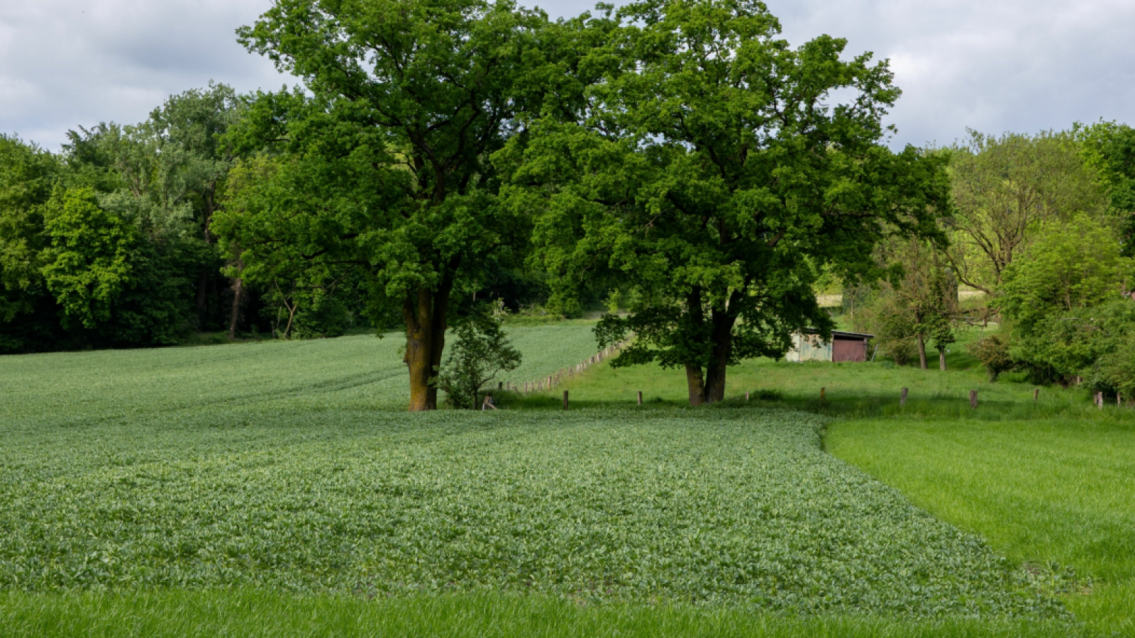 Terrain constructible de 966m2 à Saint-Vivien-de-Blaye