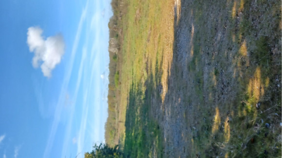20260326_095350.jpg