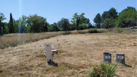 Le Taillan (Germigan).jpg