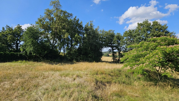 image_générée (18).png