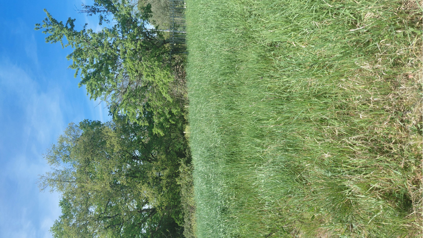 Terrain constructible de 412m2 à Mérignac