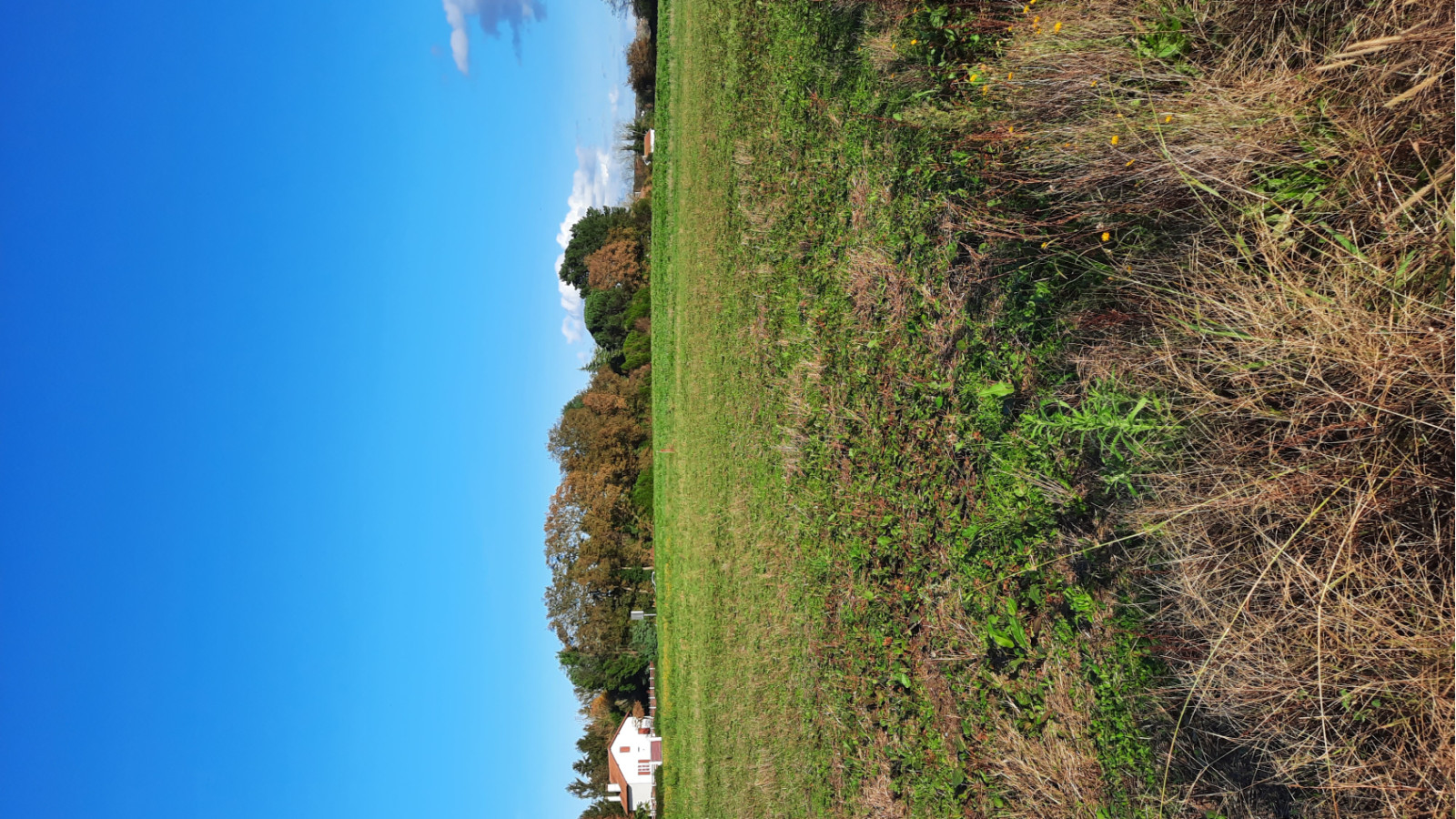 Terrain constructible de 774m2 à Préchacq-les-Bains