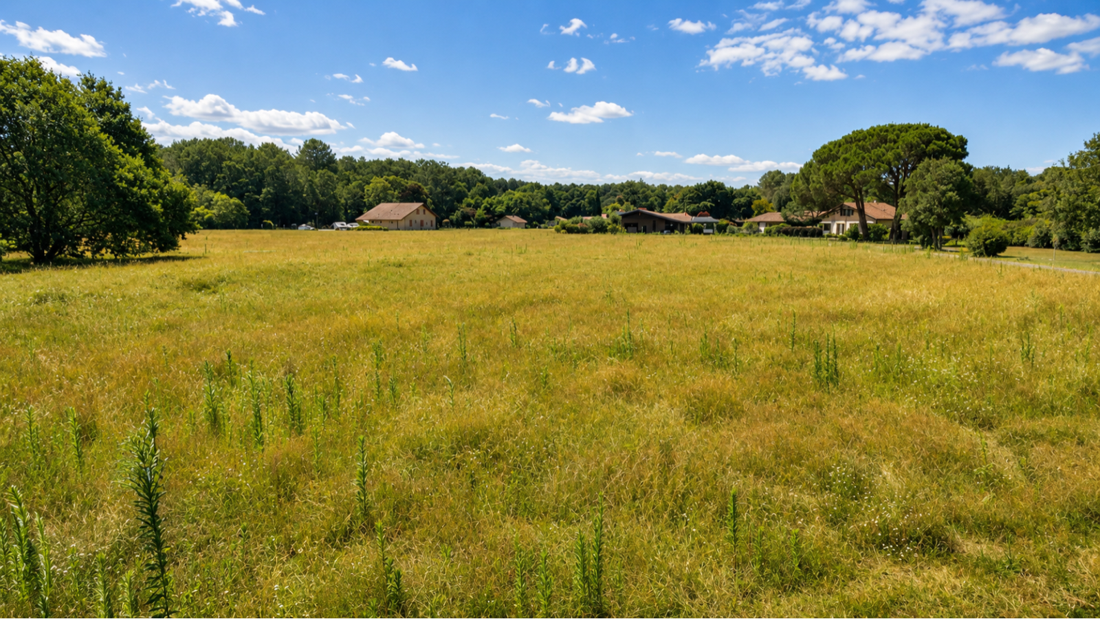 Terrain constructible de 1000m2 à Léon