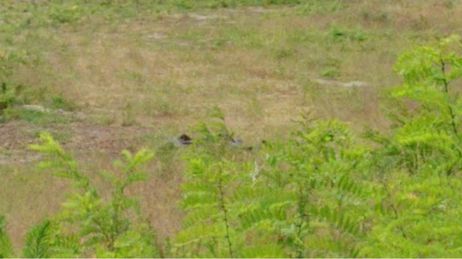 Terrain constructible de 702m2 à Vielle-Saint-Girons