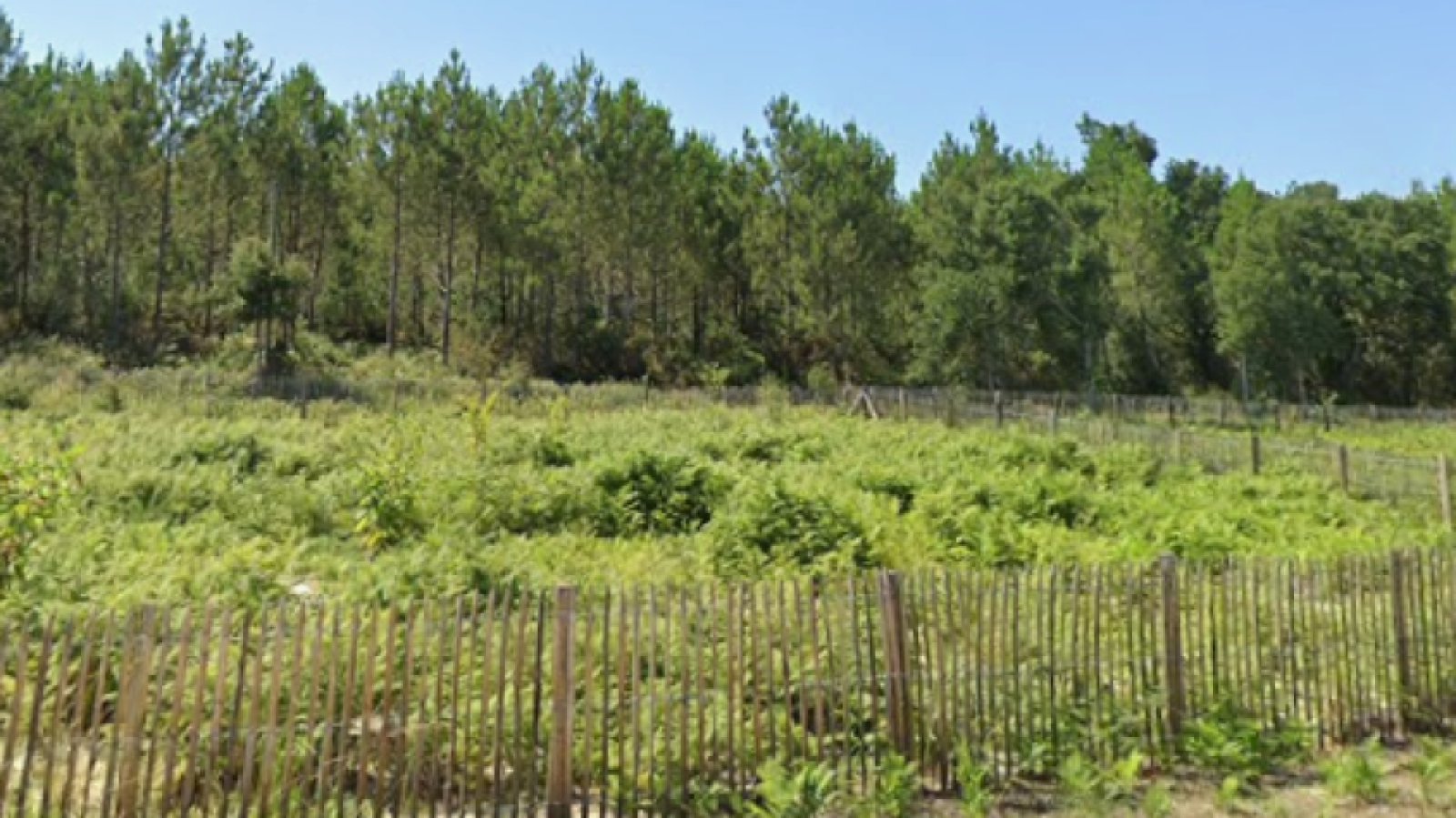 Terrain constructible de 1102m2 à Moliets-et-Maa