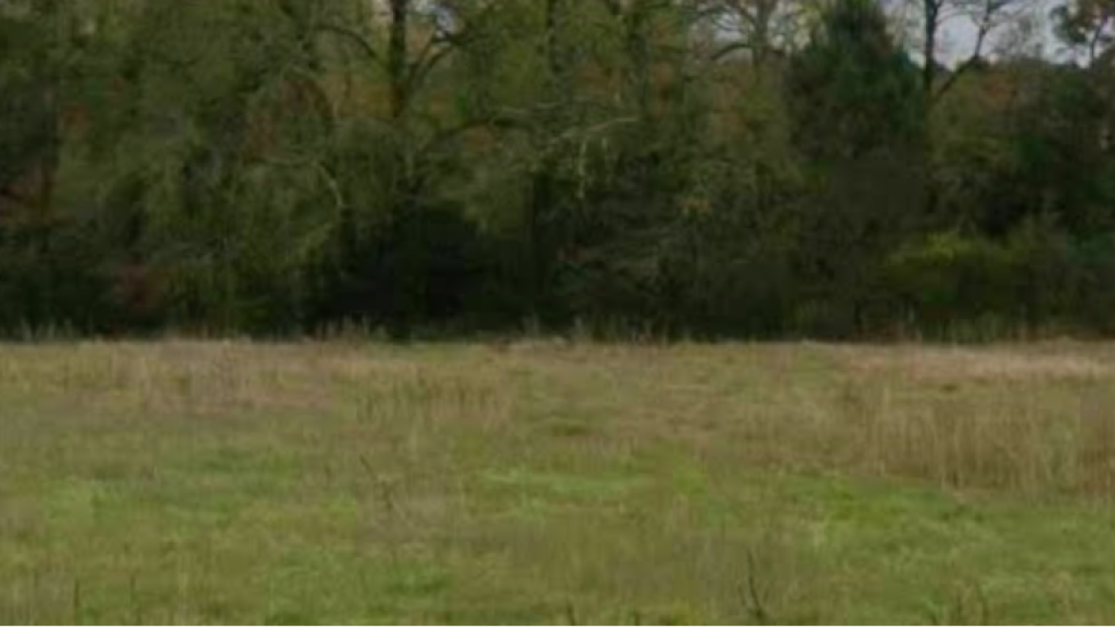 Terrain constructible de 410m2 à Seignosse