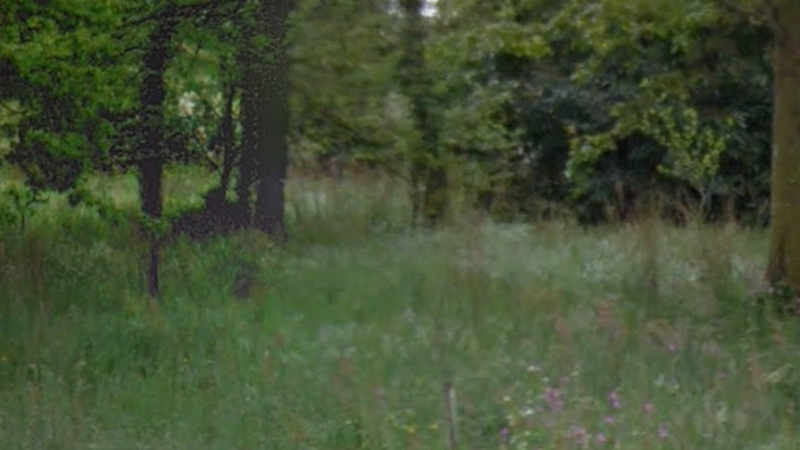 Terrain constructible de 939m2 à Sort-en-Chalosse